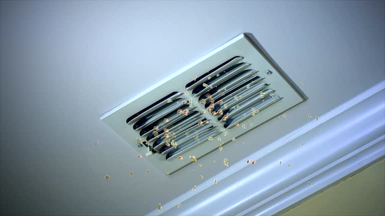 Best Commercial HVAC Duct Cleaning  in Shelby, MS