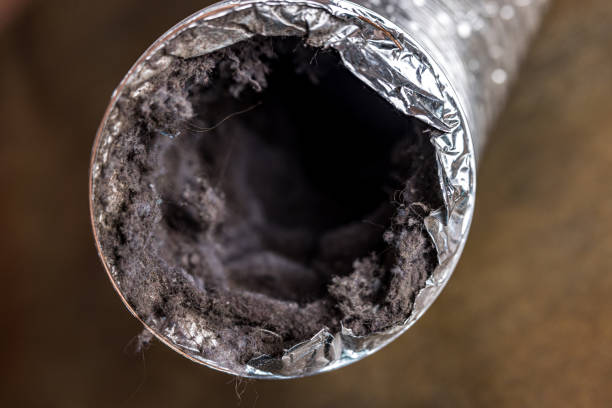 Best Dryer Vent Cleaning Services  in Shelby, MS